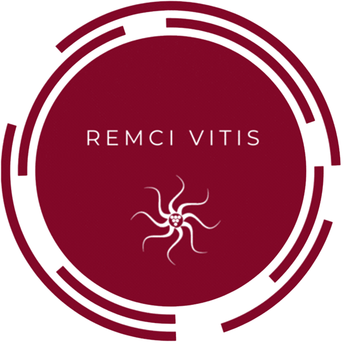 Remci Vitis