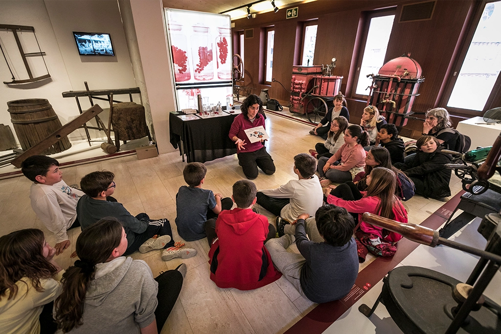 Conférence au Musée Vinseum en Catalogne (Espagne)