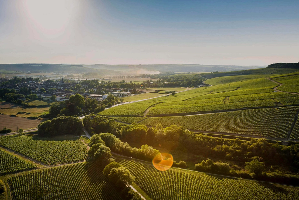 Cité des Climats et des Vins de Bourgogne 